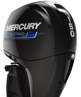 Mercury AMG Marine.